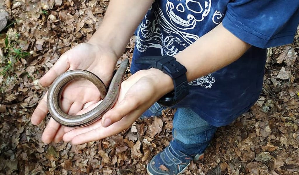 Natur zum Anfassen.